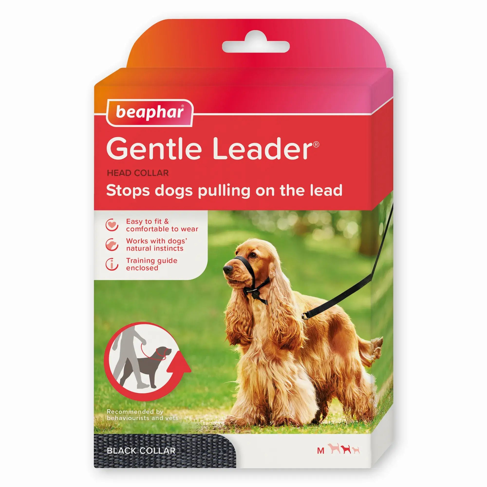 Beaphar Pâte aux oeufs pour canaris et oiseaux exotiques, 1 kg