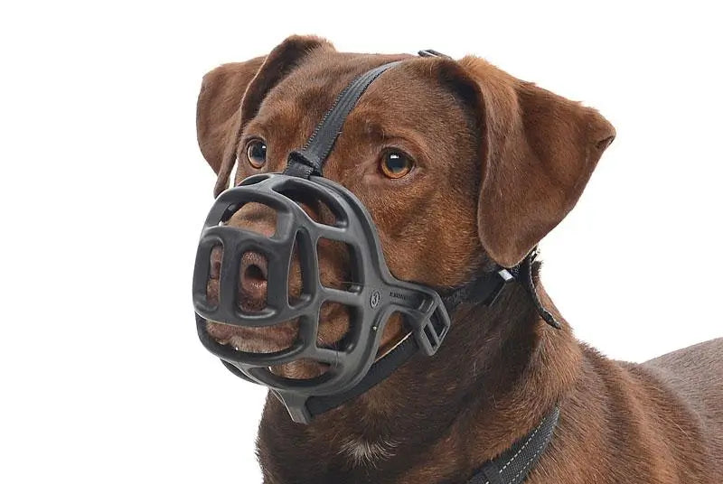 Plastic Buster Muzzle Size 2