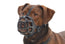 Plastic Buster Muzzle Size 2