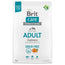 Brit Care Dog Adulte Saumon Sans Grains 3Kg pour Chiens