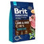 Brit Premium By Nature Dog Sensitive Lamb 3Kg pour chiens