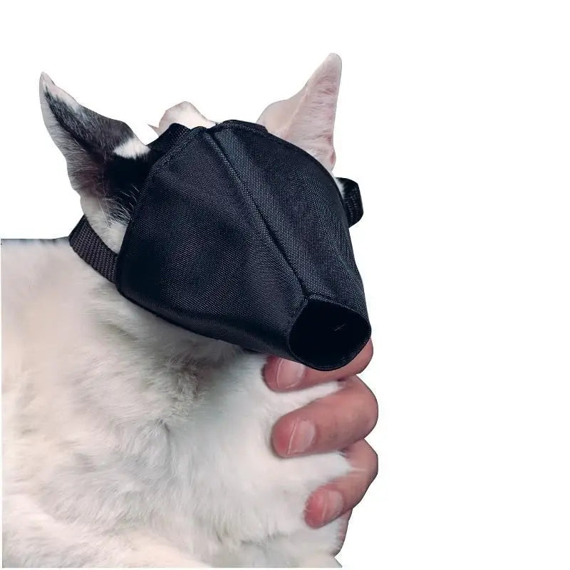 Buster : muselière en nylon pour chat