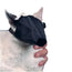 Buster : muselière en nylon pour chat