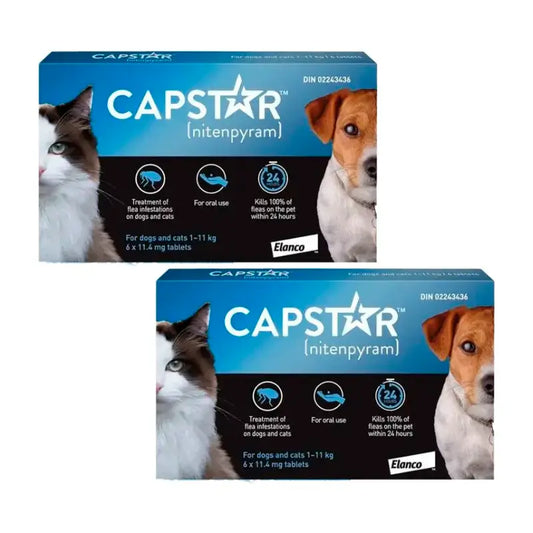 Capstar 11,45Mg Chien & Chat 1-11Kg , Pack 2 x 6 Comprimés