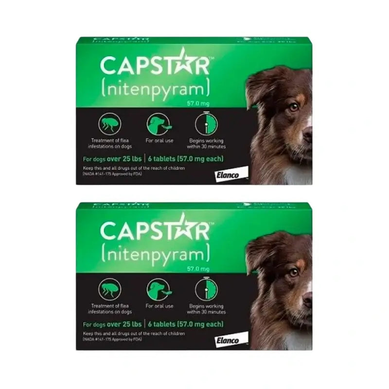 Capstar 57 Mg Chien 11-60Kg, 12 comprimés