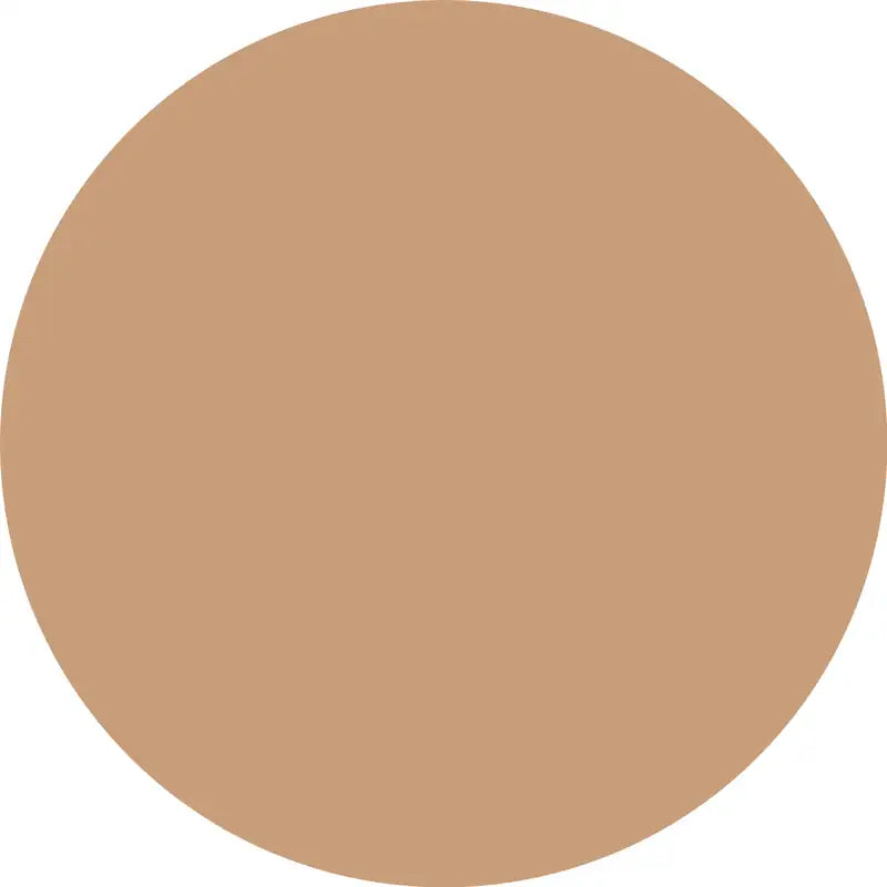 Catrice Cushion Invisible Cover 024N, 10 g