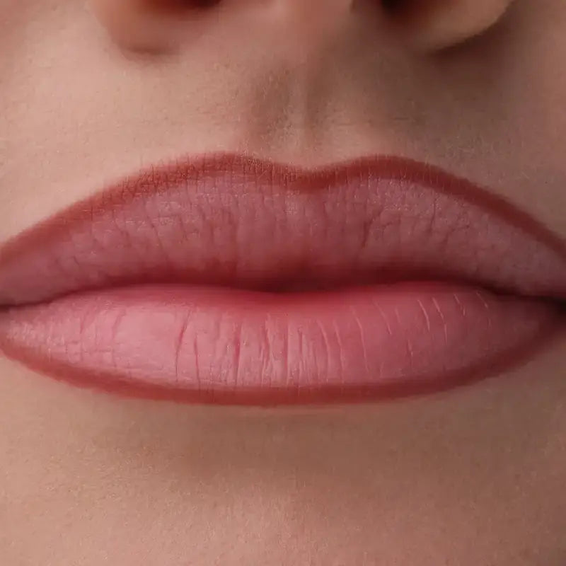 Catrice Crayon à lèvres Precision Ink 060, 1 ml