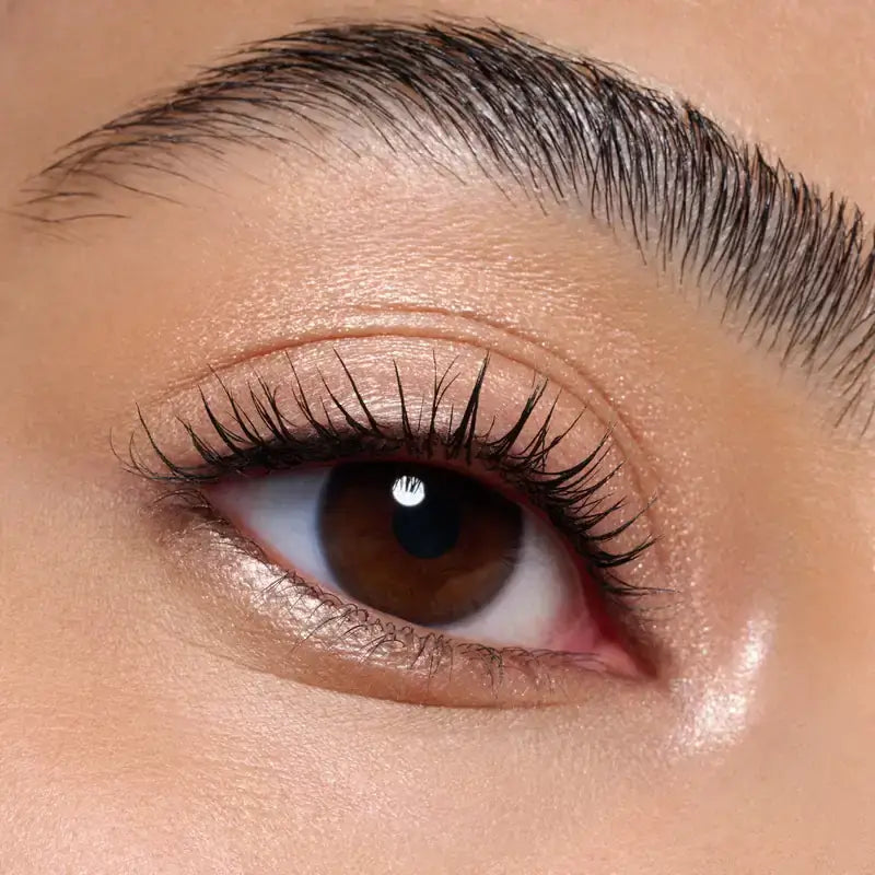 Catrice Ombre à paupières Jumbo Soft Blend 010, 1,65 g