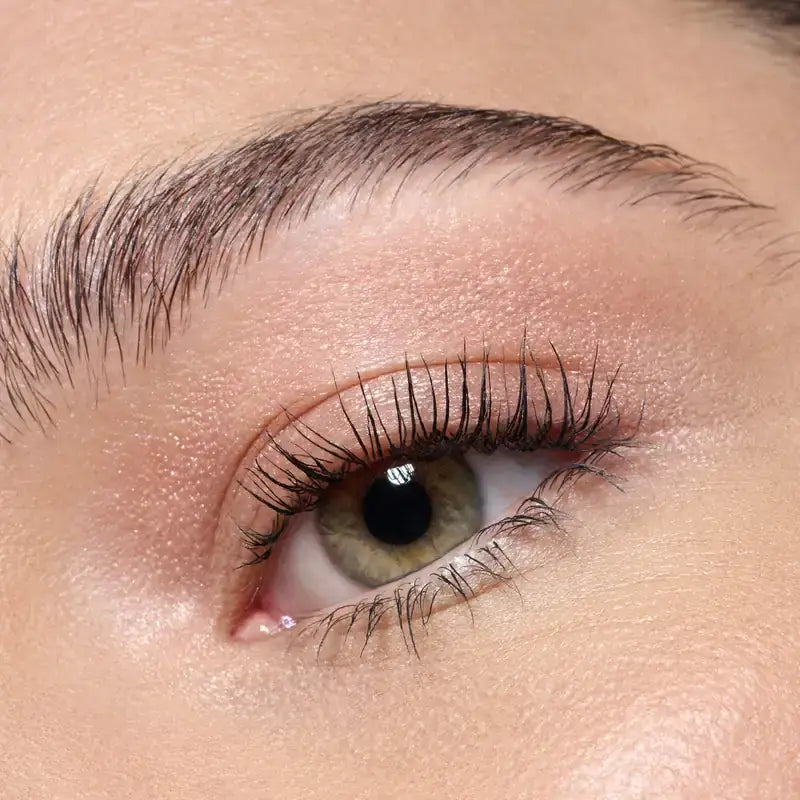 Catrice Ombre à paupières Jumbo Soft Blend 010, 1,65 g