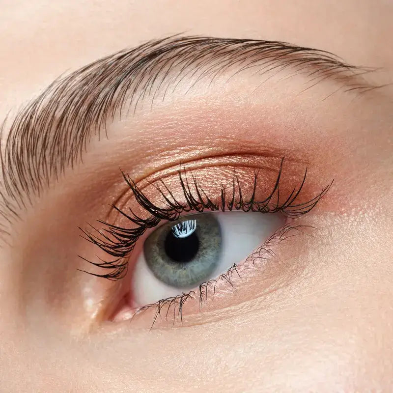 Catrice Ombre à paupières Art Couleurs 440 , 2 gr