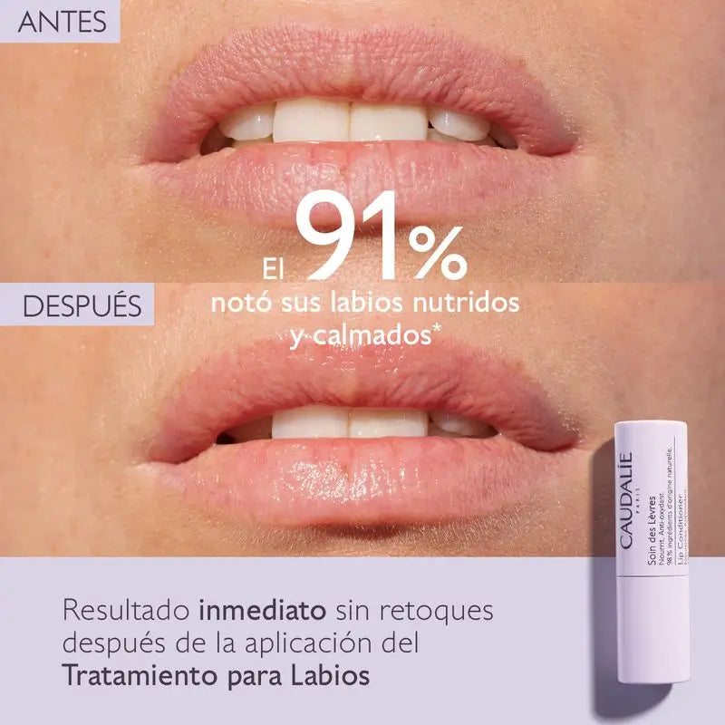 Traitement des lèvres Caudalie, 4,5 g