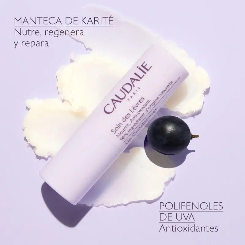 Traitement des lèvres Caudalie, 4,5 g
