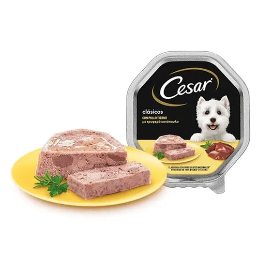 Cesar Bulkpack Poulet 20+8X150G