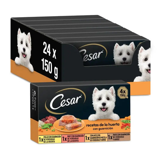 Cesar Multipack Garden Selection Box 6X4X150Gr