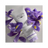 Christophe Robin Shade Variation Conditioner With Florentine Iris , 250 ml