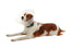Isabelino Buster Clic Necklace 10, 10pcs