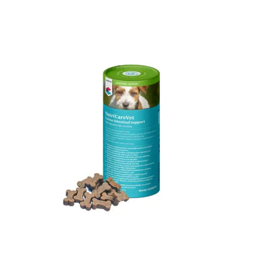 Covetrus Nutricarevet Gastro pour chiens, 60 croquettes