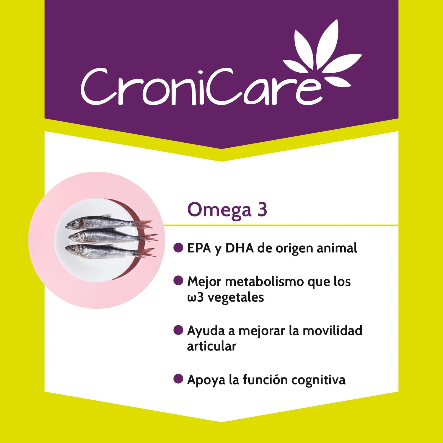 Stangest Cronicare, 120 Comprimés