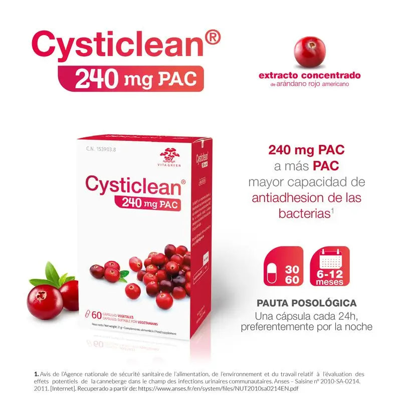 Cysticlean 240 Mg Pac, 60 gélules