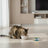 Dibaq Sense Wet Cat Food for Neutered Cats – White Fish with Vegetables, 12 x 70 g