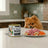 Dibaq Sense Wet Dog Food: Segovia Suckling Pig, 12 x 190 g