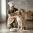 Dibaq Sense Wet Dog Food – Lamb, 12 x 380 g