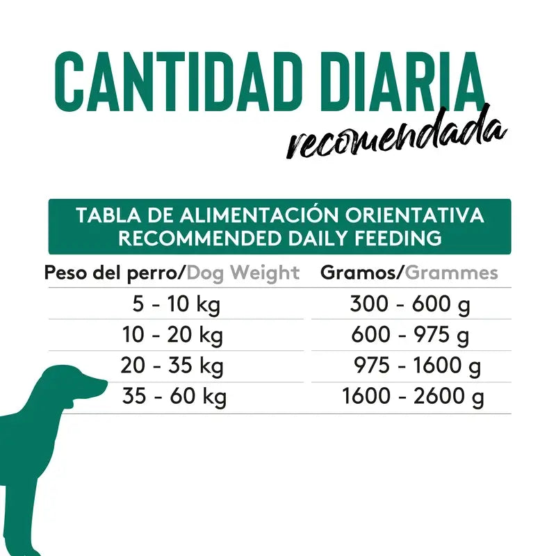 Dibaq Sense Grain-Free Wet Dog Food – Portuguese-Style Cod, 12 x 380 g