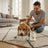 Dibaq Sense Grain-Free Wet Dog Food with Turkey and Pumpkin, 12 x 380 g