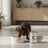Dibaq Sense Wet Dog Food – Wild Boar and Venison, 12 x 380 g