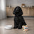 Dibaq Sense Wet Dog Food – Salmon, 12 x 190 g