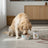 Dibaq Sense Wet Dog Food for Sensitive Dogs – Rabbit and Turkey, 12 x 380 g