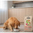 Dibaq Sense Low-Grain Fish Adult Dog Food, 12 kg