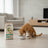 Dibaq Sense Low-Grain Chicken Light or Senior Dog Food, 2 kg