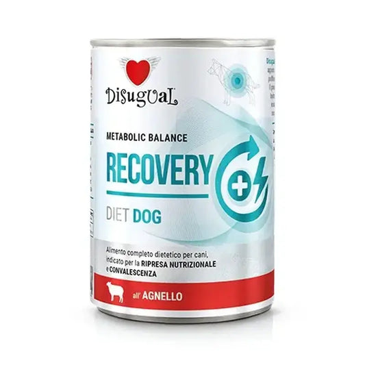 Disugual Diet Dog Recovery Agneau 6X400Gr
