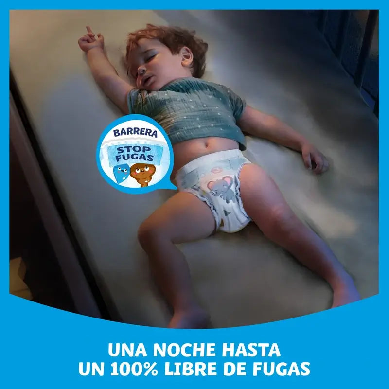 Dodot Baby Dry Taille 3 (6-10 kg), 62 couches