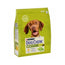 Dog Chow Canine Adult Chicken 2,5Kg, nourriture pour chiens