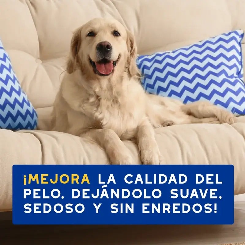 Douxo Skin & Coat Spa Conditionneur à l'avoine pour chiens, 250ml