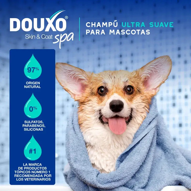 Douxo Skin & Coat Spa Shampooing anti-douleur pour chien, 250 ml
