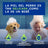 Douxo Skin & Coat Spa Shampooing pour chiots, 250 ml