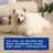 Douxo Skin & Coat Spa Shampooing anti-mue pour chiens, 250 ml
