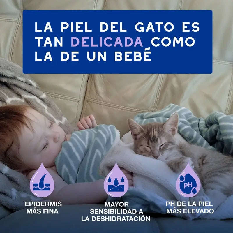 Douxo Skin & Coat Spa Nettoyage ultra doux pour une toilette sans stress du chat, 150 ml