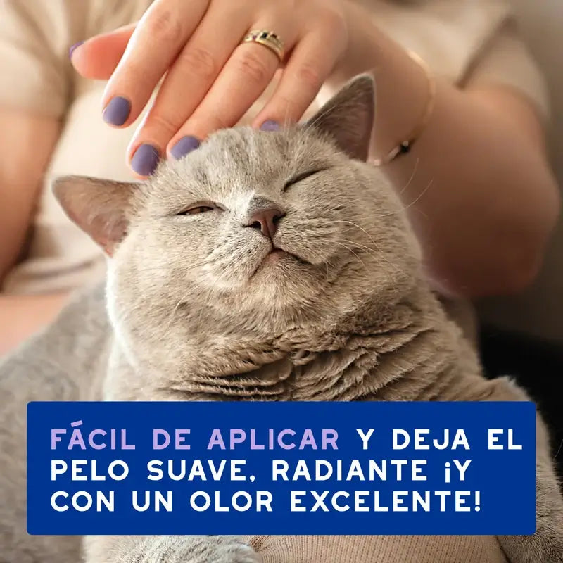 Douxo Skin & Coat Spa Nettoyage ultra doux pour une toilette sans stress du chat, 150 ml