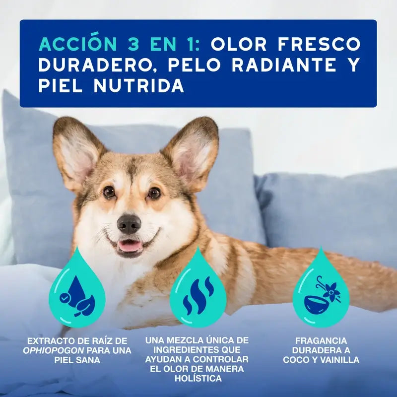Douxo Skin & Coat Spa Spray multi-actions anti-odeurs pour chiens, 340 ml