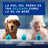 Douxo Skin & Coat Spa Spray multi-actions anti-odeurs pour chiens, 340 ml