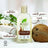 Shampooing à l'huile de coco Dr. Organic Cheveux épais ou bouclés, 265 ml