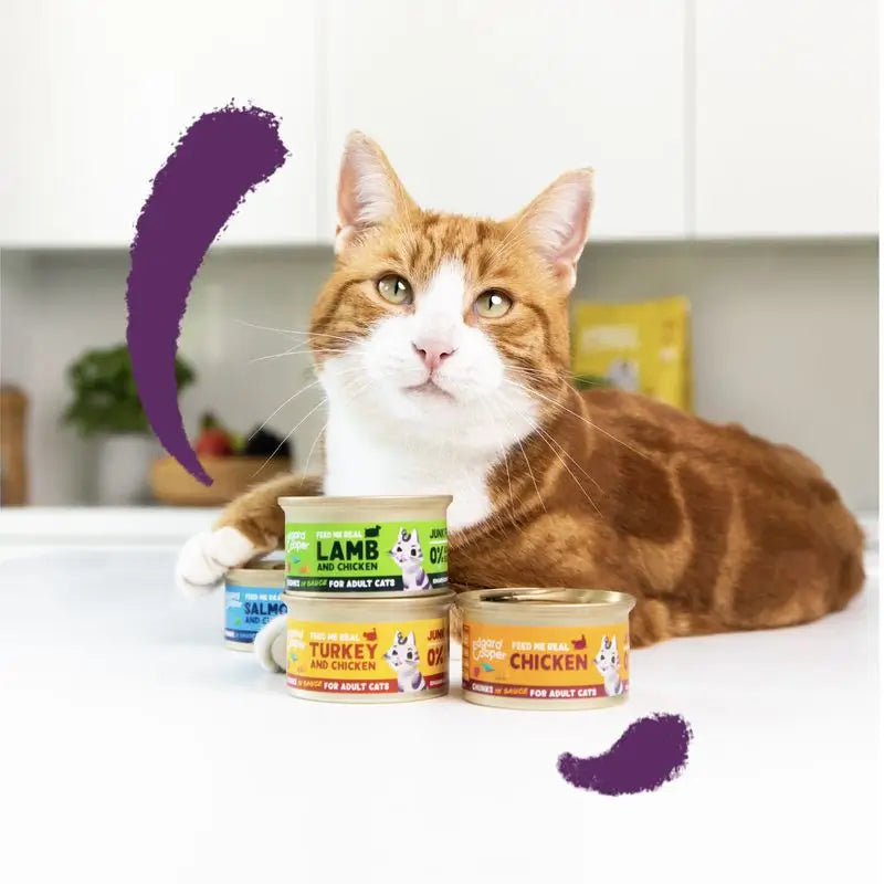 Edgard & Cooper Wet Cat Food 18x85g Turkey Bits