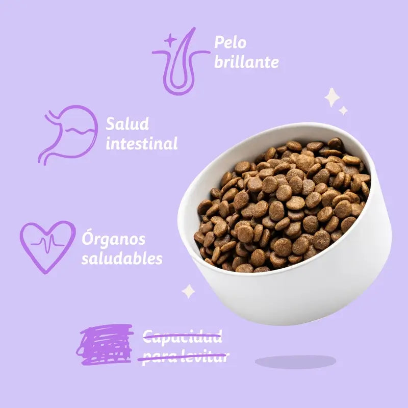 Edgard & Cooper Medium Puppy Food With Fresh Salmon & Turkey , 2.5 kg