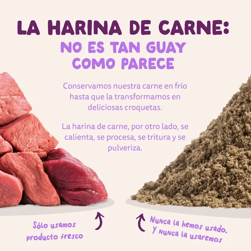 Edgard & Cooper Medium Puppy Food With Fresh Salmon & Turkey , 2.5 kg