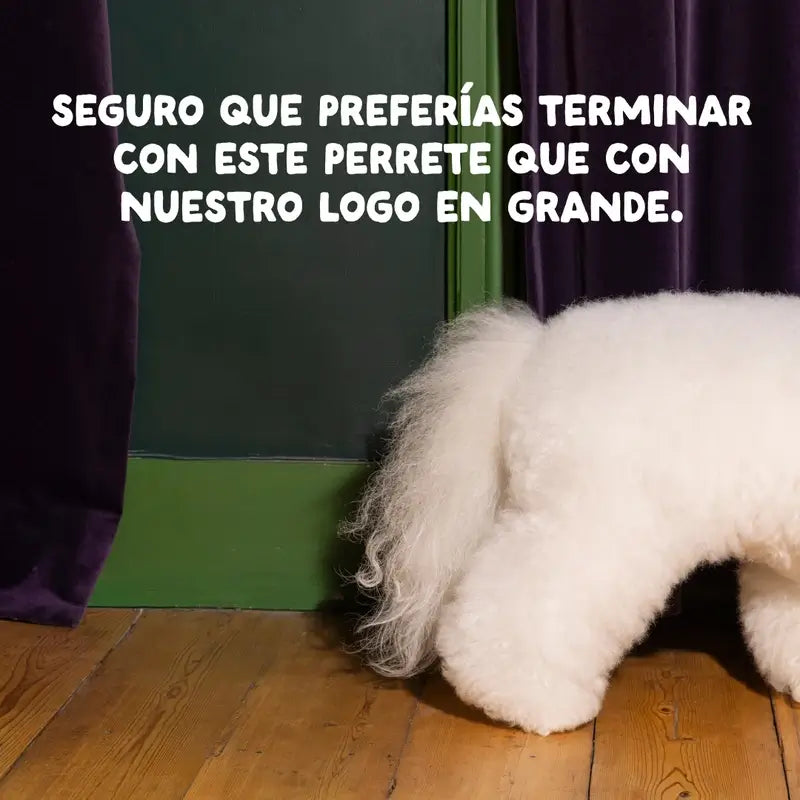 Edgard & Cooper Medium Puppy Food With Fresh Salmon & Turkey , 2.5 kg