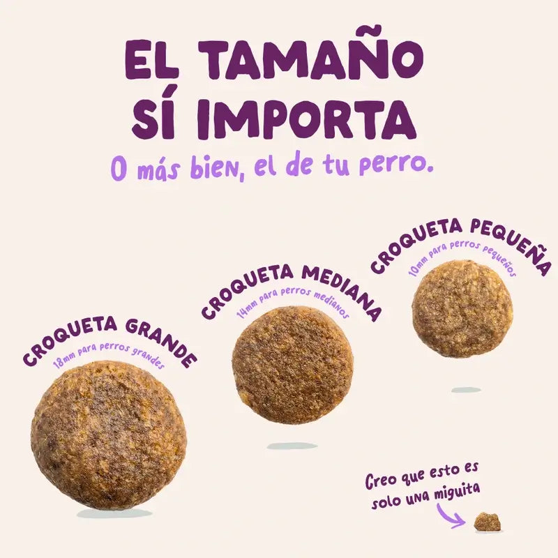 Edgard & Cooper Puppy Food 7kg Saumon frais de l'Atlantique